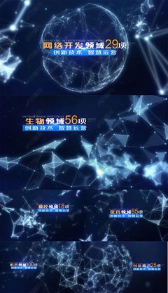數(shù)字前沿 網(wǎng)絡(luò)科技領(lǐng)域技術(shù)開發(fā)數(shù)據(jù)動(dòng)態(tài)展示AE模板解析